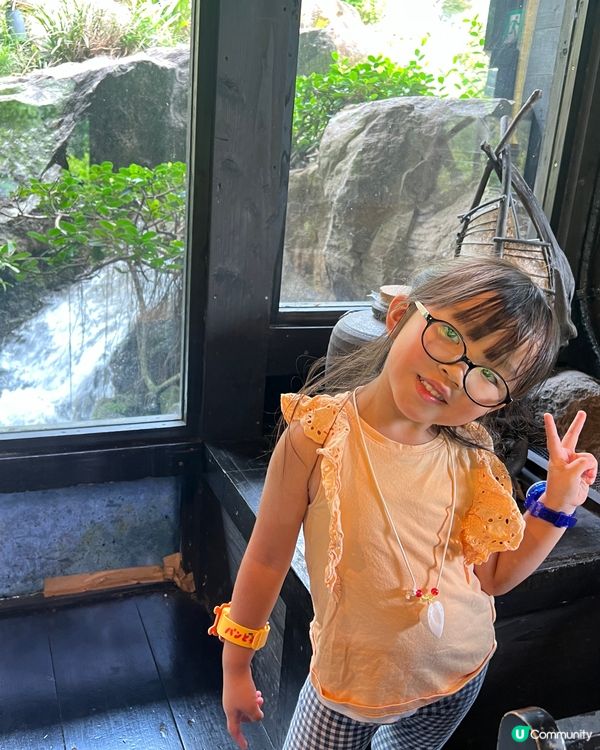 沖繩必到景點！百年古家大家 - 沖繩阿古豬