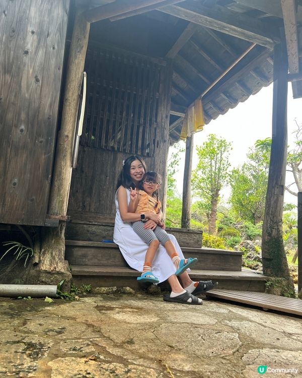 沖繩必到景點！百年古家大家 - 沖繩阿古豬