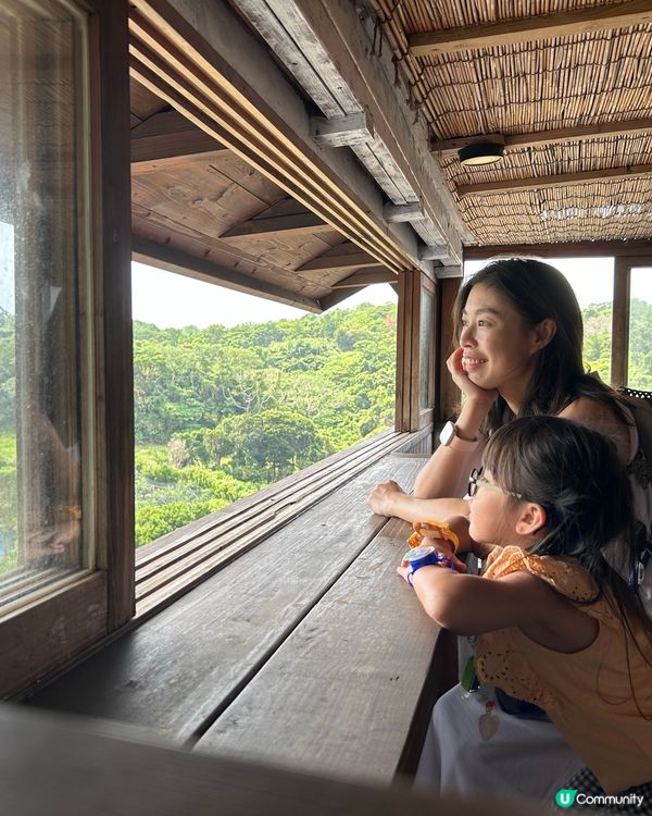 沖繩必到景點！百年古家大家 - 沖繩阿古豬