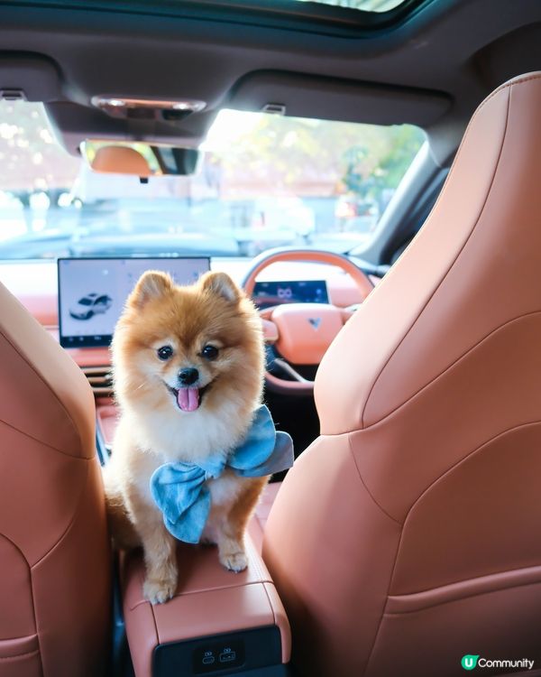 純電動 SUV NETA X ｜特大1388L載物空間