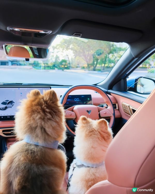 純電動 SUV NETA X ｜特大1388L載物空間