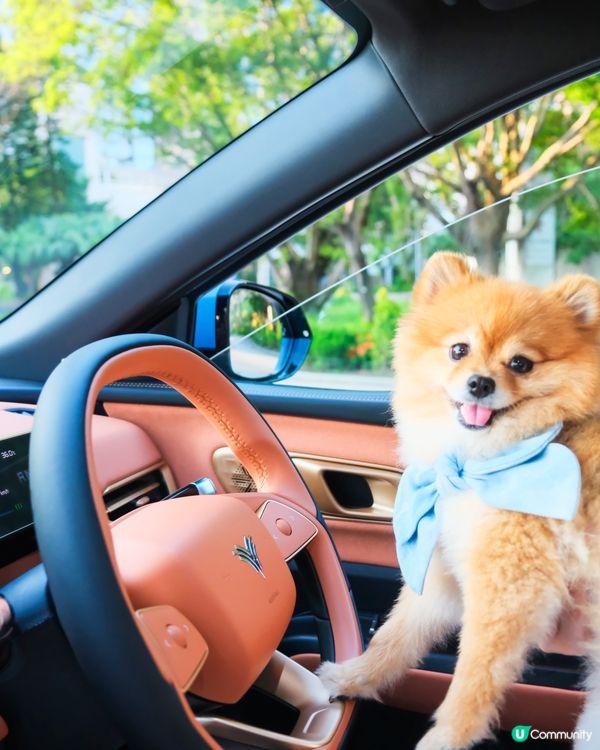 純電動 SUV NETA X ｜特大1388L載物空間