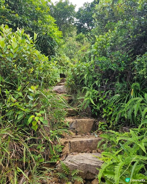 每週行山運動 絕美釣魚翁郊遊徑分享