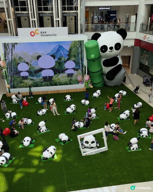 ## 奧海城熊貓打卡熱點🐼