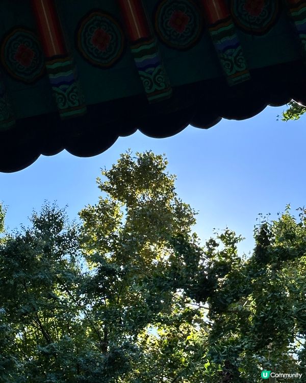 🇰🇷韓國旅行景點推薦！韓劇古裝景點！落星垈公園