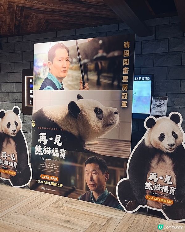 🐼福寶返屋企😭  睇戲送明信片！