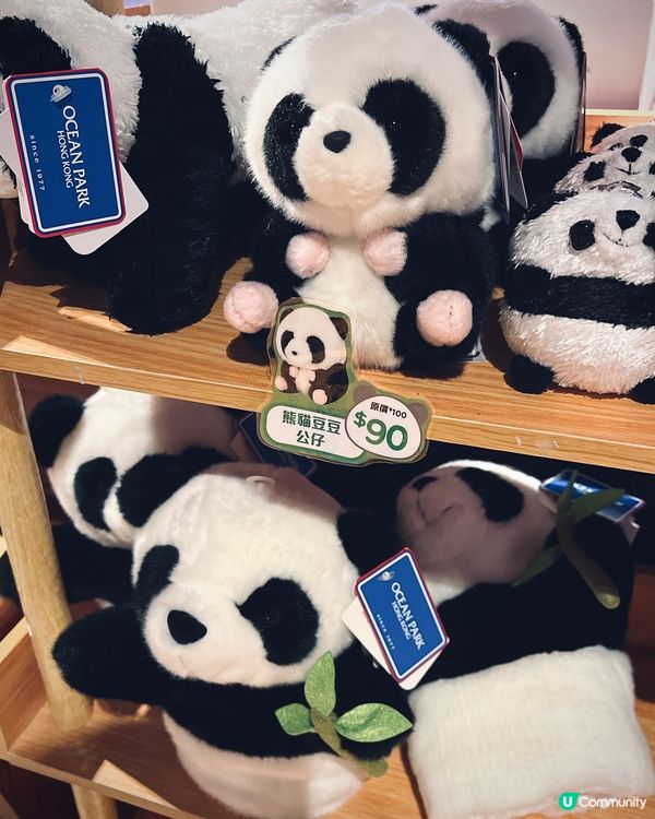 🐼福寶返屋企😭  睇戲送明信片！