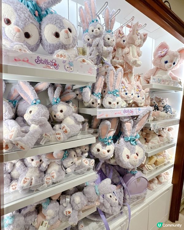 ## 機場迪士尼專門店🤩  勁多正野！