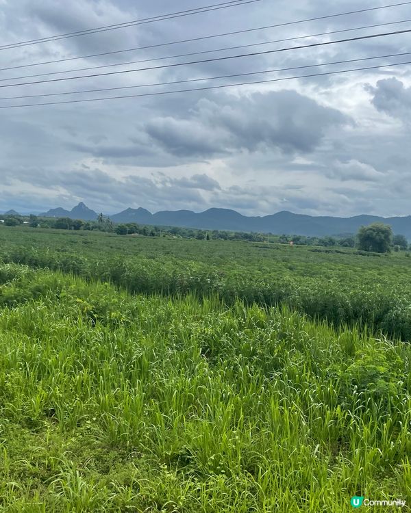 泰國北碧死亡鐵路