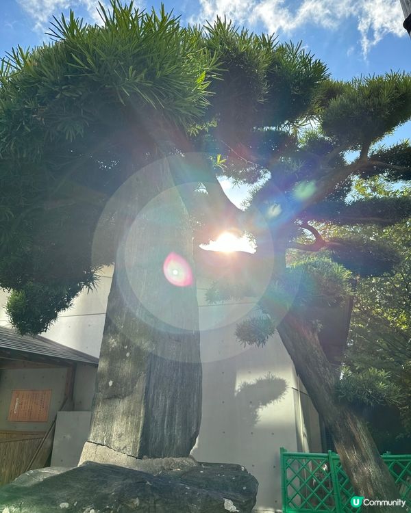 警固神社🇯🇵福岡市中心的靜謐寶地