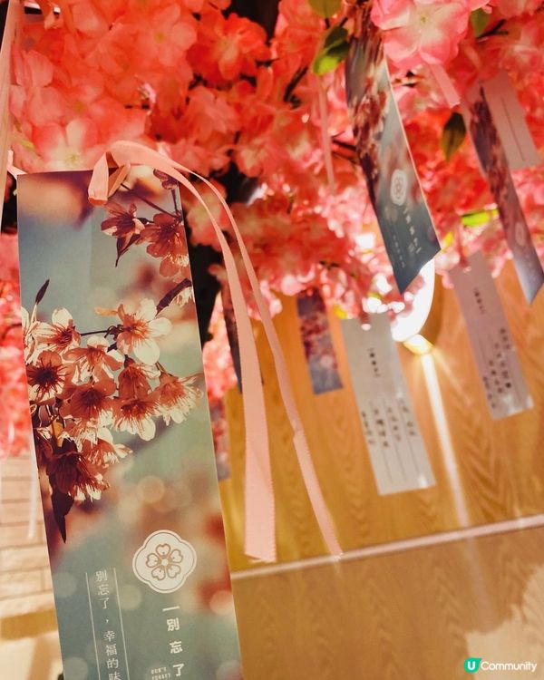 太和➡️➡️➡️別忘了