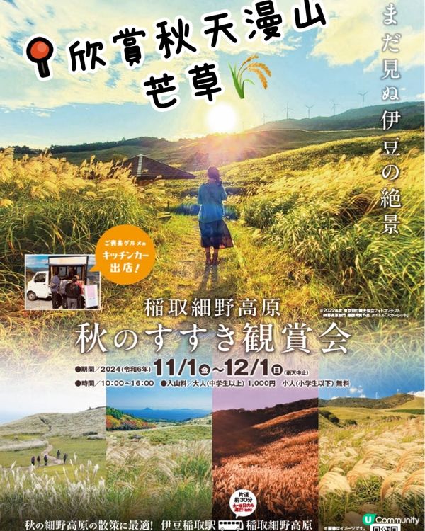 《洗滌心靈之旅》欣賞秋天漫山芒草🌾