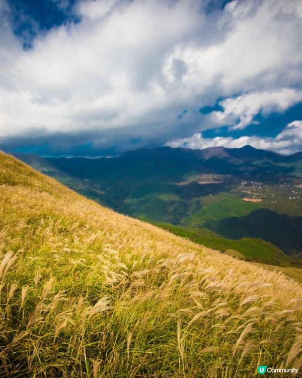 《洗滌心靈之旅》欣賞秋天漫山芒草🌾