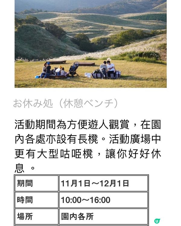 《洗滌心靈之旅》欣賞秋天漫山芒草🌾