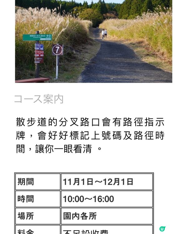 《洗滌心靈之旅》欣賞秋天漫山芒草🌾