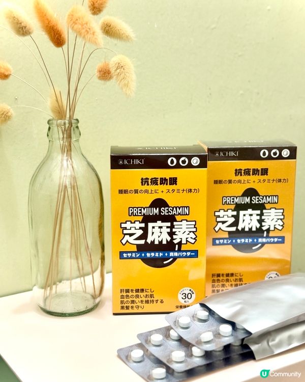 😴 攰到爆？抗疲神器幫到你💪