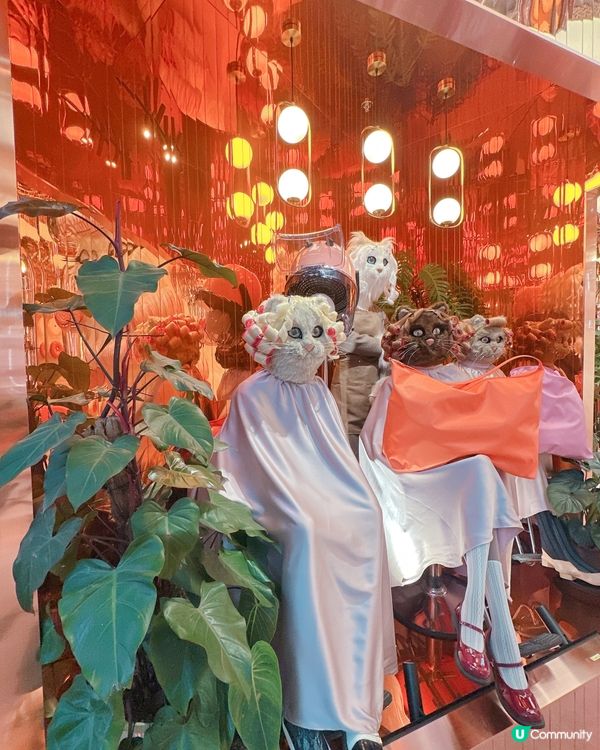 ## 曼谷貓貓店🐱  原來賣袋😂😂