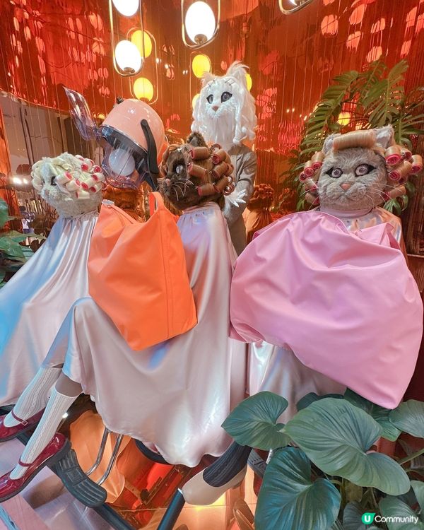 ## 曼谷貓貓店🐱  原來賣袋😂😂