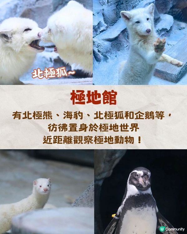 深圳小梅沙海洋世界10月試業🐬逾60萬呎深圳最大海洋樂園‼️