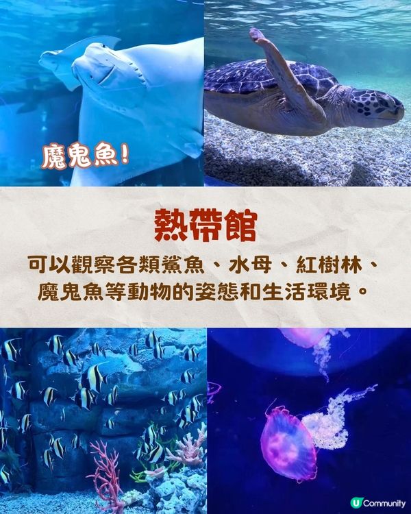 深圳小梅沙海洋世界10月試業🐬逾60萬呎深圳最大海洋樂園‼️