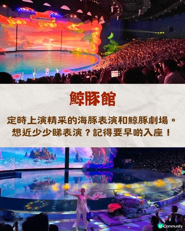 深圳小梅沙海洋世界10月試業🐬逾60萬呎深圳最大海洋樂園‼️