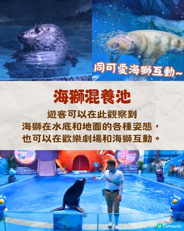 深圳小梅沙海洋世界10月試業🐬逾60萬呎深圳最大海洋樂園‼️