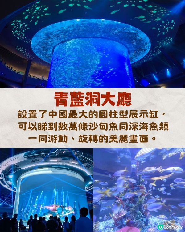 深圳小梅沙海洋世界10月試業🐬逾60萬呎深圳最大海洋樂園‼️