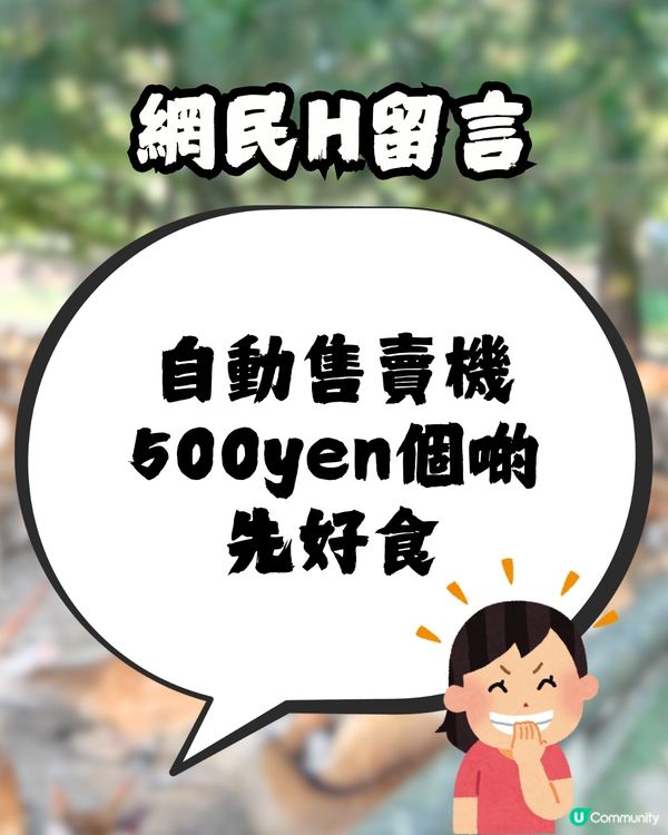 討論區驚現日本「奈良鹿餅」食評😧🦌網民爆笑回覆：浸牛奶先好食！🤣🇯🇵