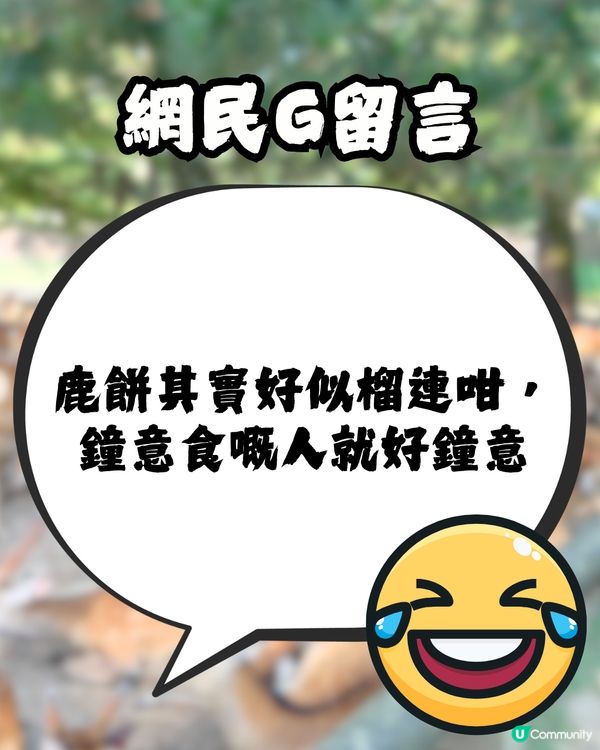 討論區驚現日本「奈良鹿餅」食評😧🦌網民爆笑回覆：浸牛奶先好食！🤣🇯🇵