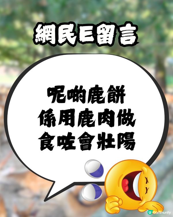 討論區驚現日本「奈良鹿餅」食評😧🦌網民爆笑回覆：浸牛奶先好食！🤣🇯🇵