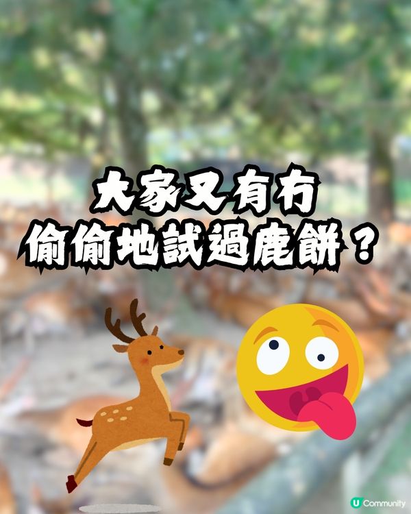 討論區驚現日本「奈良鹿餅」食評😧🦌網民爆笑回覆：浸牛奶先好食！🤣🇯🇵