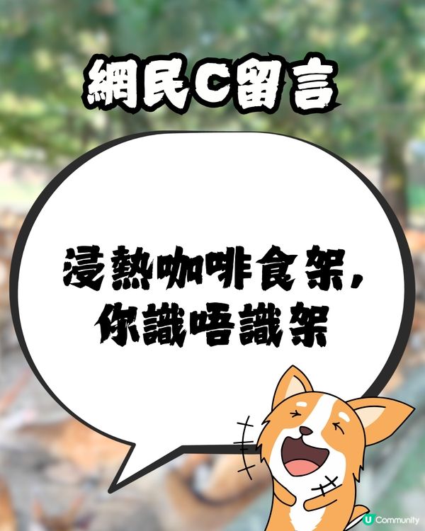 討論區驚現日本「奈良鹿餅」食評😧🦌網民爆笑回覆：浸牛奶先好食！🤣🇯🇵