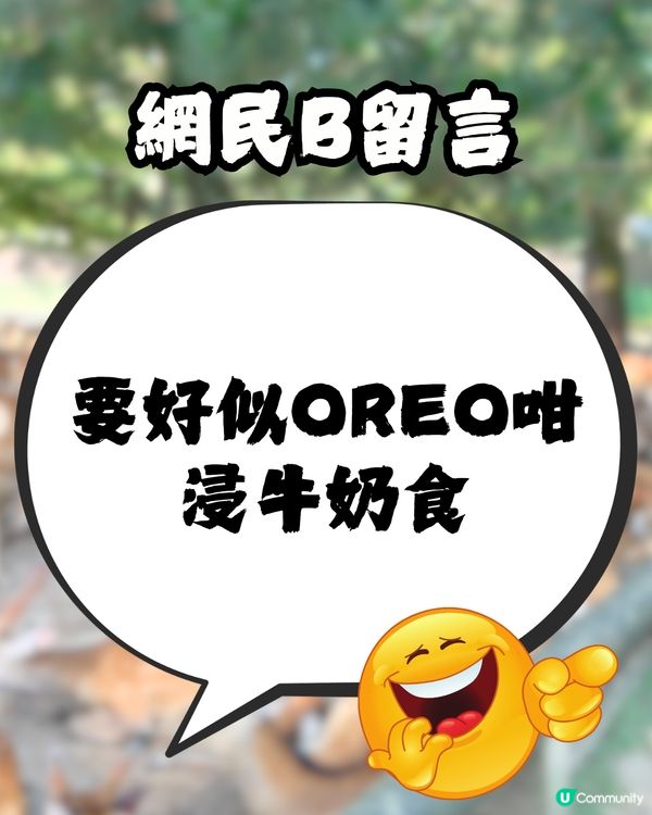 討論區驚現日本「奈良鹿餅」食評😧🦌網民爆笑回覆：浸牛奶先好食！🤣🇯🇵