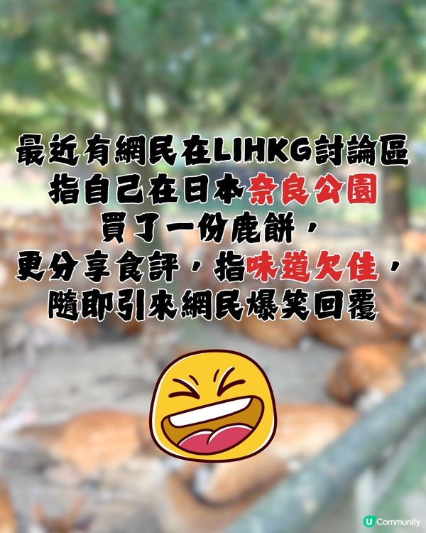 討論區驚現日本「奈良鹿餅」食評😧🦌網民爆笑回覆：浸牛奶先好食！🤣🇯🇵