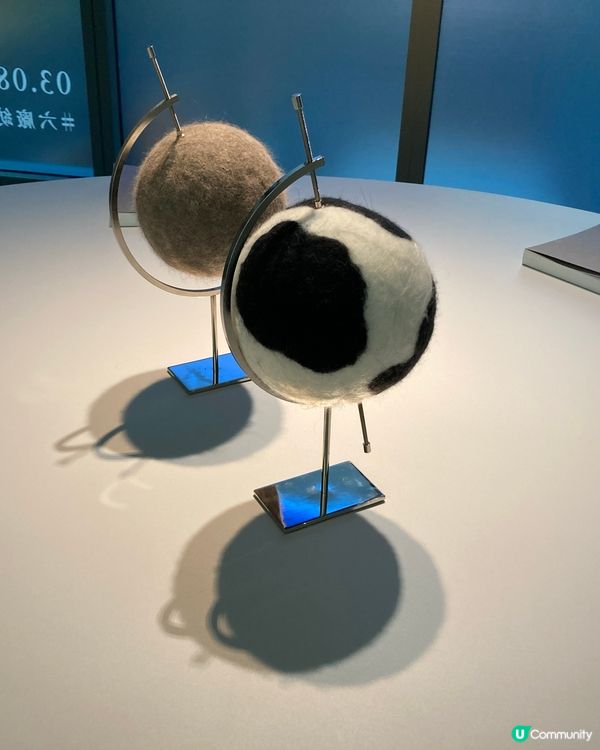 ## 南豐紗廠貓貓展覽🐱🎨