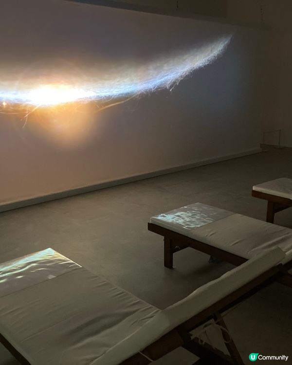 ## 南豐紗廠貓貓展覽🐱🎨