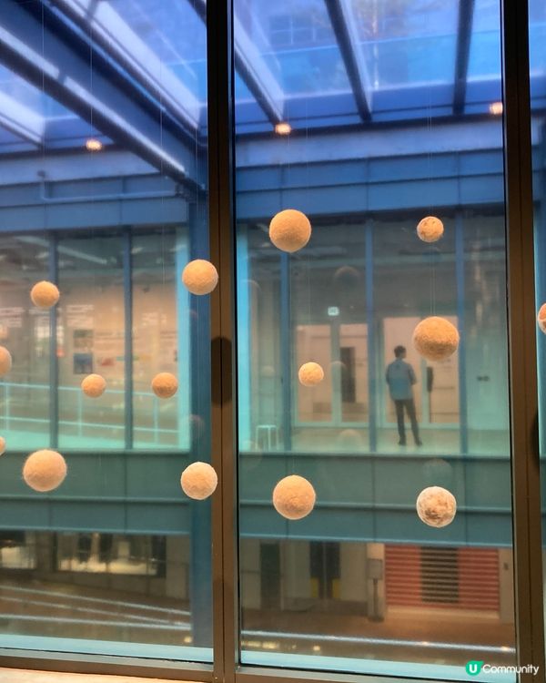 ## 南豐紗廠貓貓展覽🐱🎨