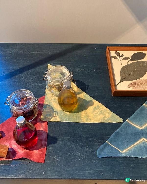 ## 南豐紗廠貓貓展覽🐱🎨