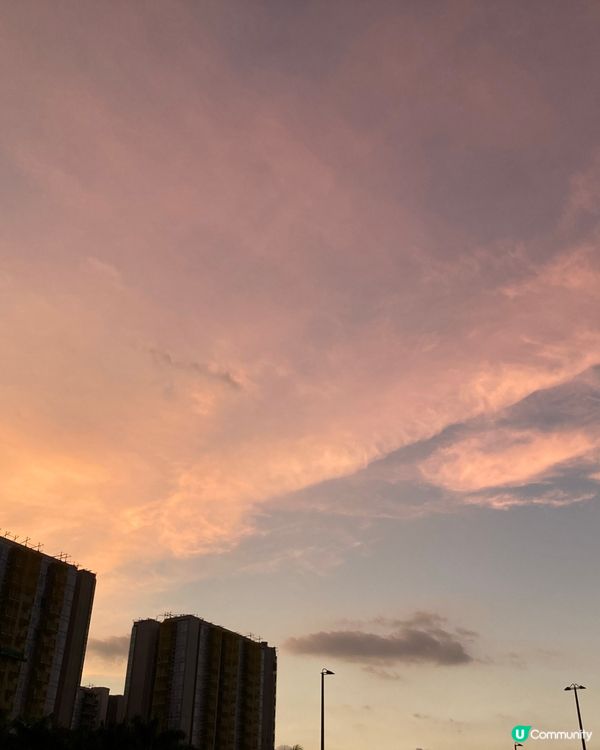 ## 南豐紗廠貓貓展覽🐱🎨