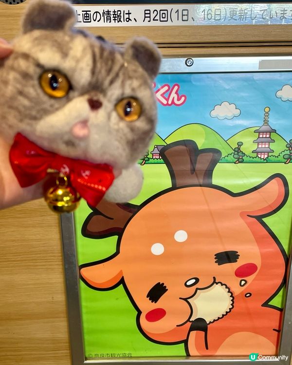 🇯🇵奈良代表 卡通小鹿🦌