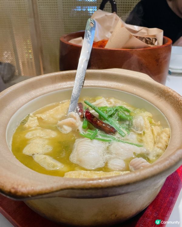 生日月銅鑼灣食飯🥳 綠茶餐廳必食推介！