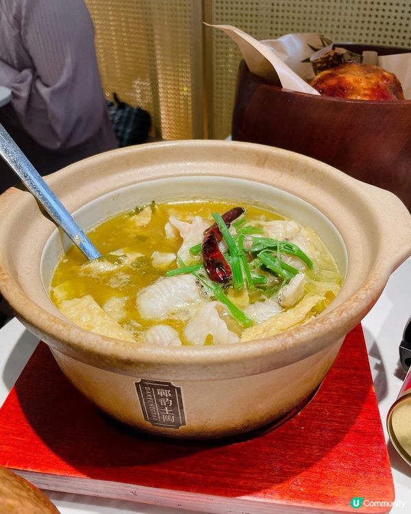 生日月銅鑼灣食飯🥳 綠茶餐廳必食推介！