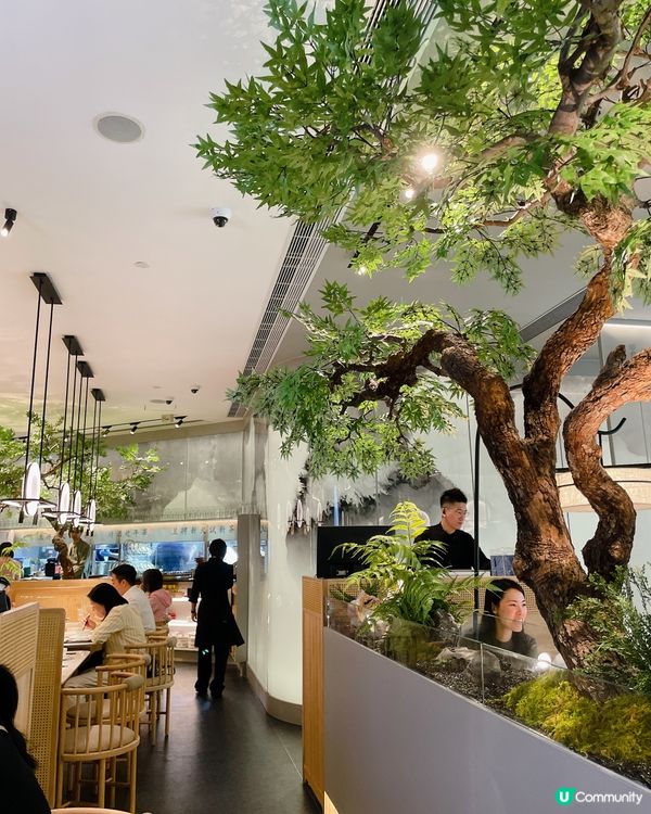 生日月銅鑼灣食飯🥳 綠茶餐廳必食推介！