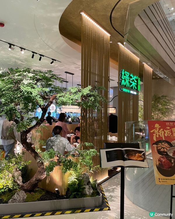 生日月銅鑼灣食飯🥳 綠茶餐廳必食推介！