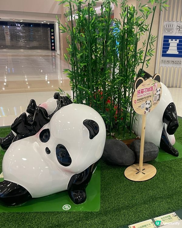 🐼 熊貓冷知識 🌟🎊