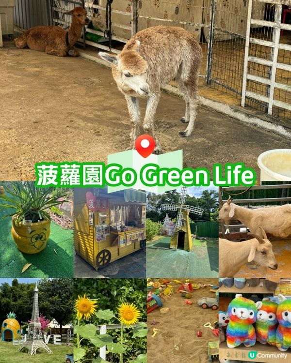 菠蘿園生活日記（錦上路）