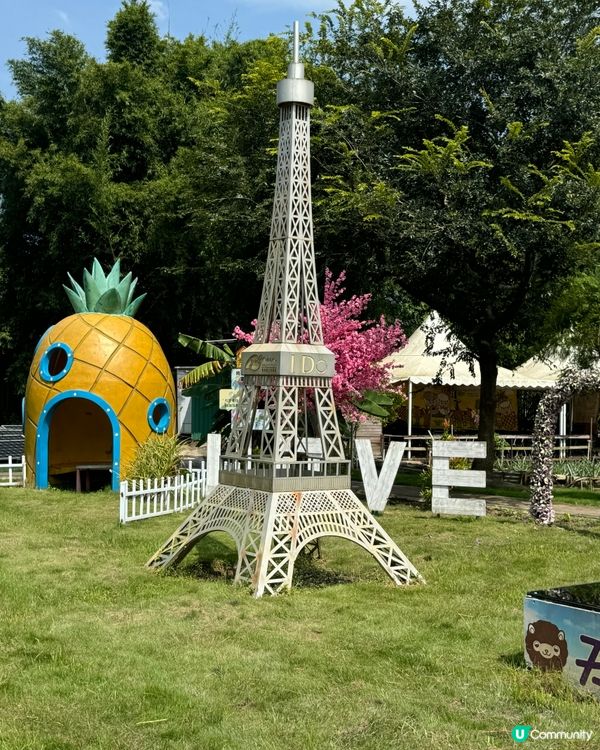 菠蘿園生活日記（錦上路）