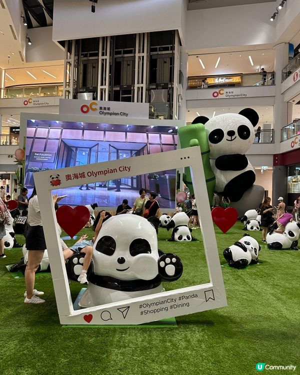 近來好Hit嘅熊貓🐼@奧海城🤩