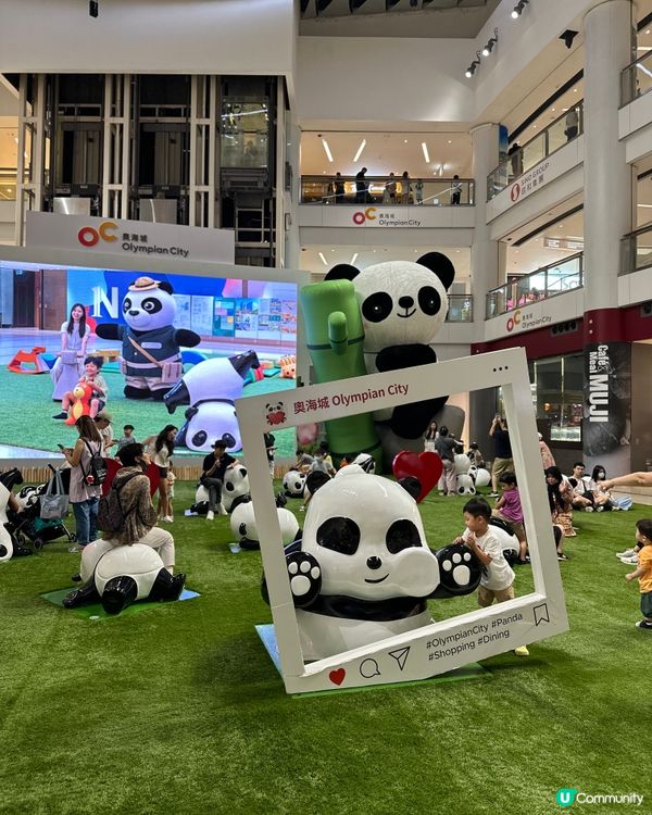 近來好Hit嘅熊貓🐼@奧海城🤩