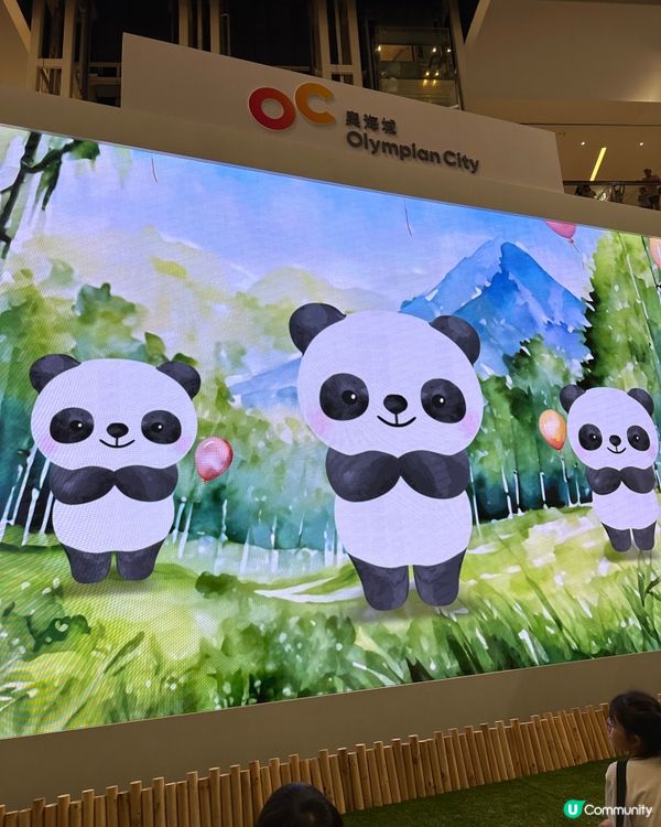 近來好Hit嘅熊貓🐼@奧海城🤩